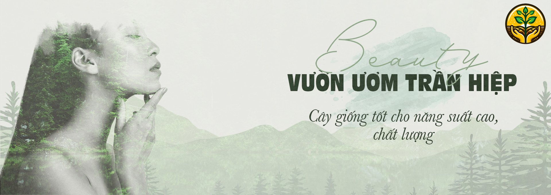 Vườn ươm Trần Hiệp cung cấp cây giống tốt cho năng suất cao, chất lượng