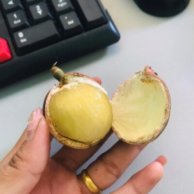 Nhãn sầu riêng - Trái cây năng suất cao và bổ dưỡng | Vườn ươm Trần Hiệp hiện đang cung cấp loại giống cây này - 1